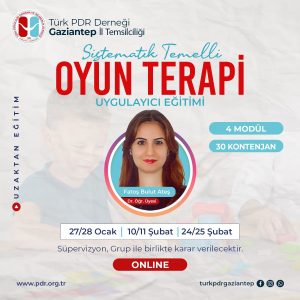 Sistemik Temelli Oyun Terapisi Uygulayıcı Eğitimi